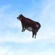 MOOONER
