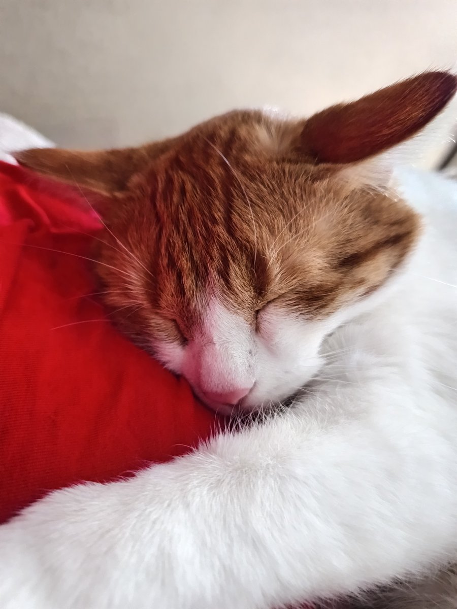 Lio