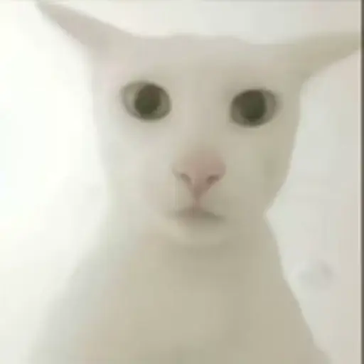 老吴