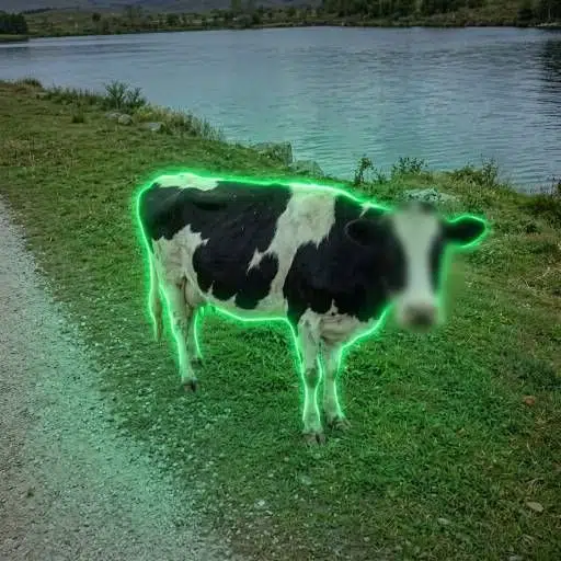 ANONYMOOS