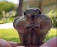 SQUISHY