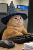 CHONK