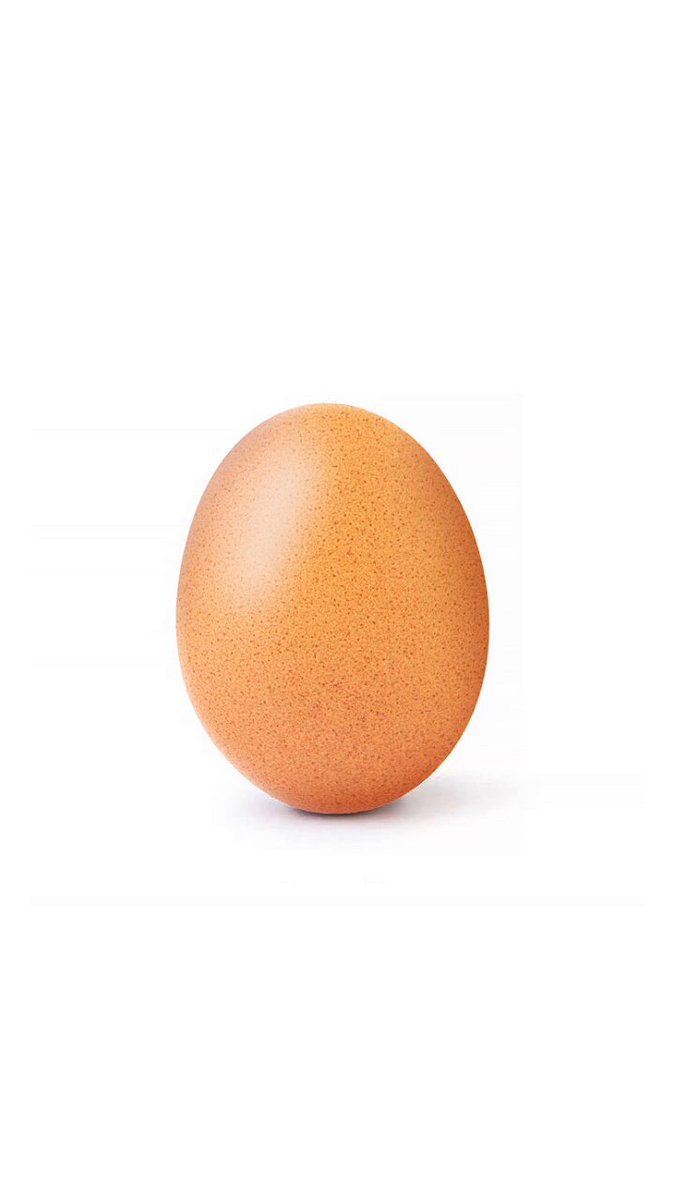 EGG