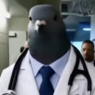TurboPigeon