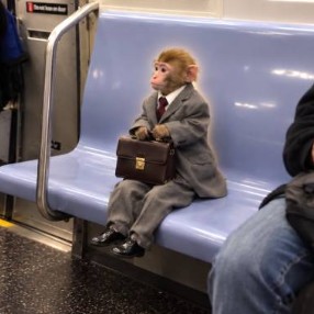 Business