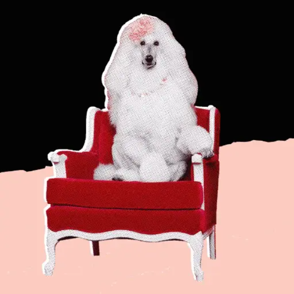POODLE