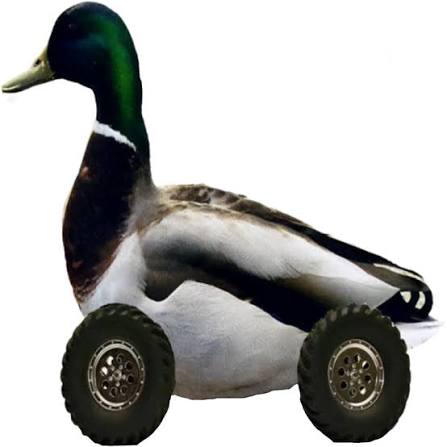DUCKROLL