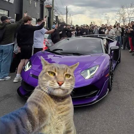 PURR