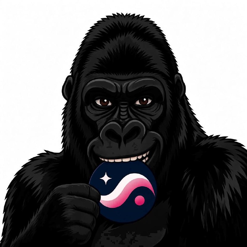 SGORILLA