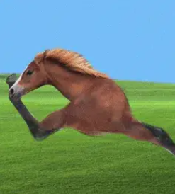 RUNNER