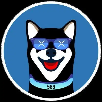 XRDOGE