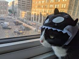 orcat