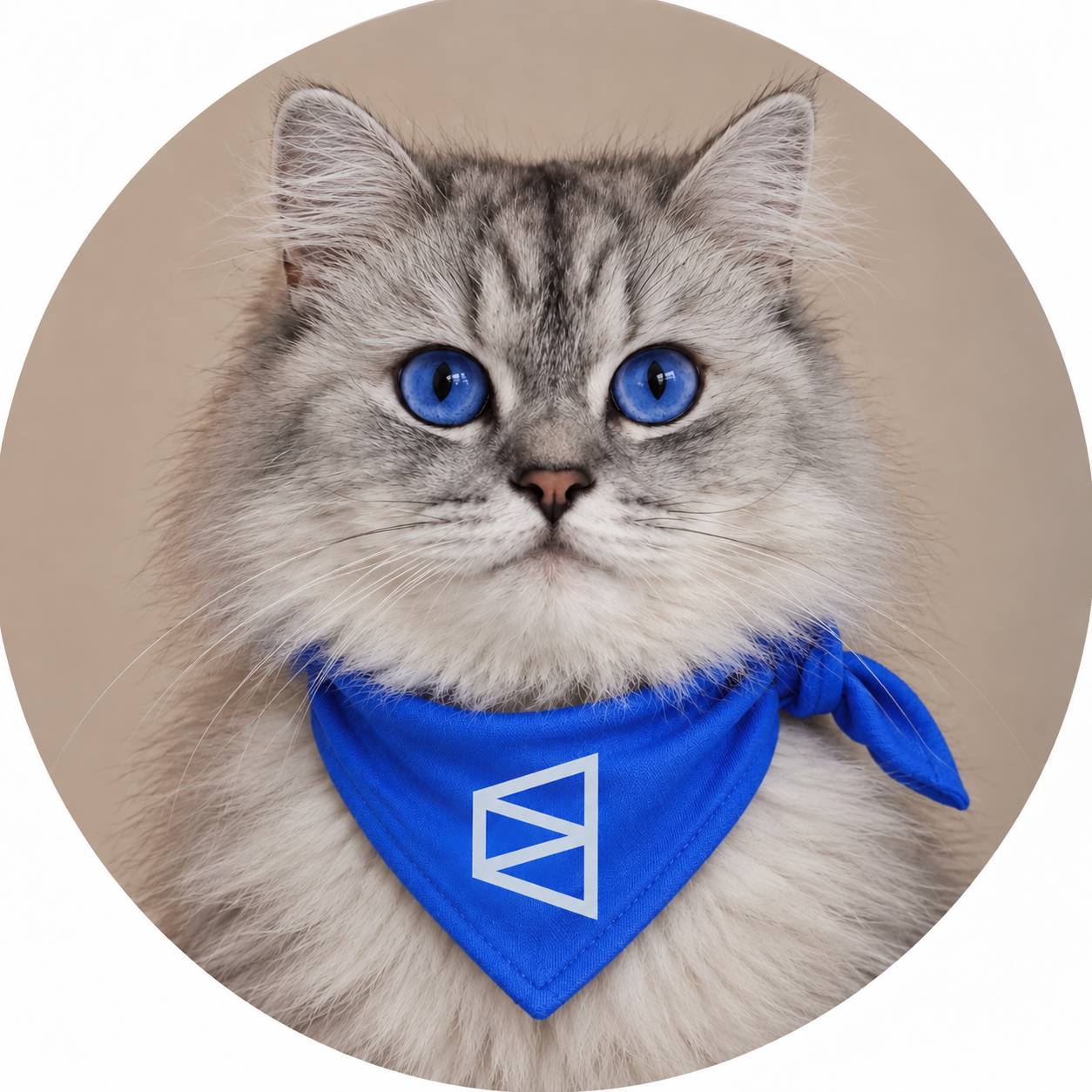 POLYCAT