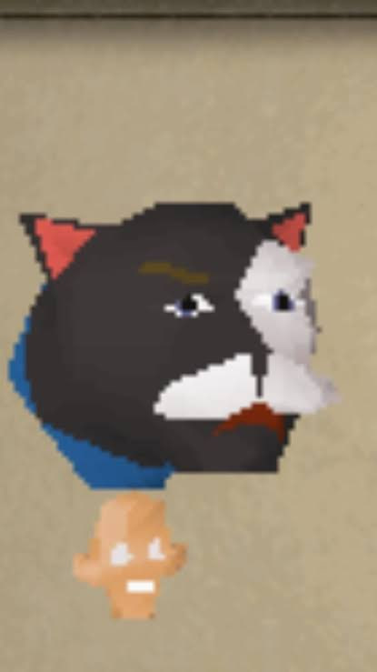 BOB