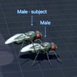 BIFLY