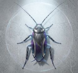 COCKROACH