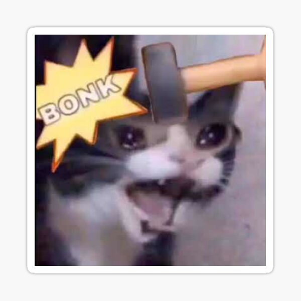 BONKCOLAv2