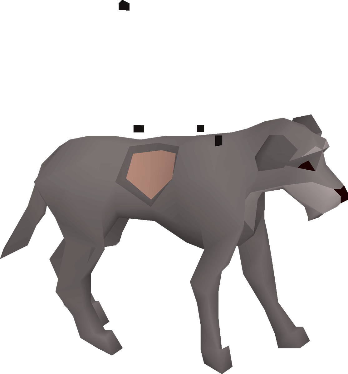 STRAY