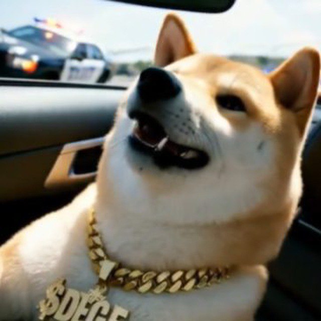 Doga