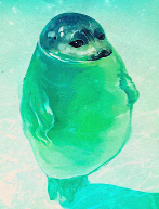 SEAL