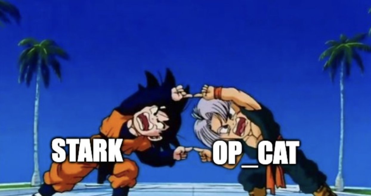 OP_CAT
