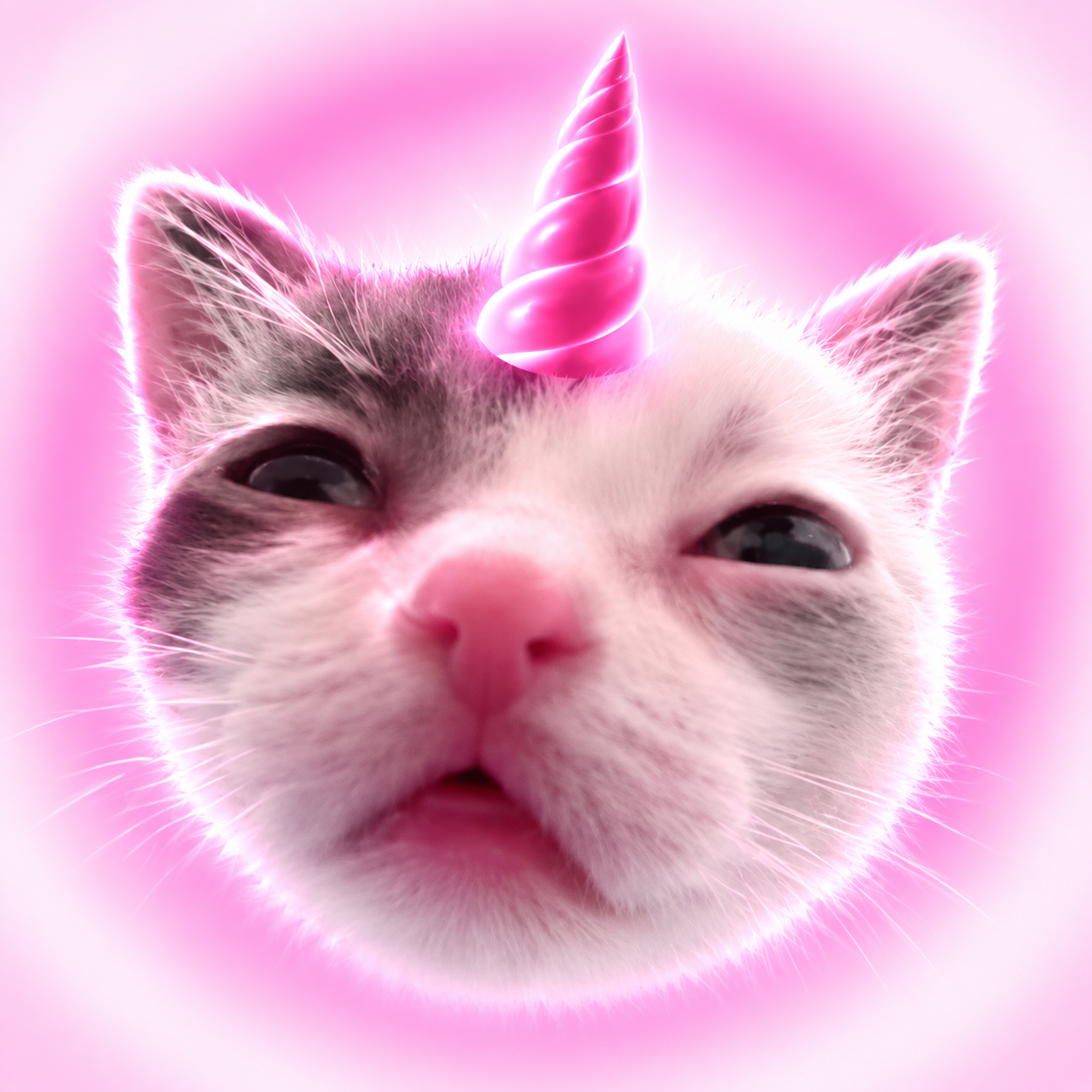UNICAT