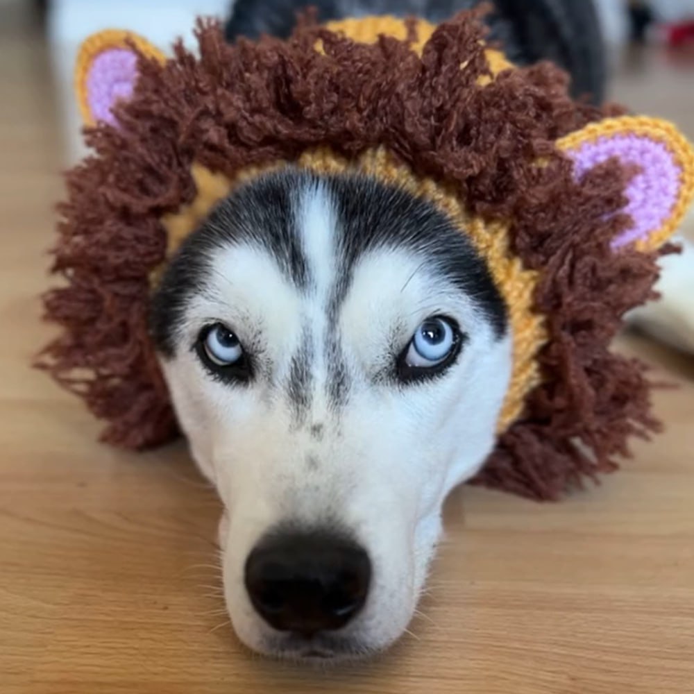 Mooner