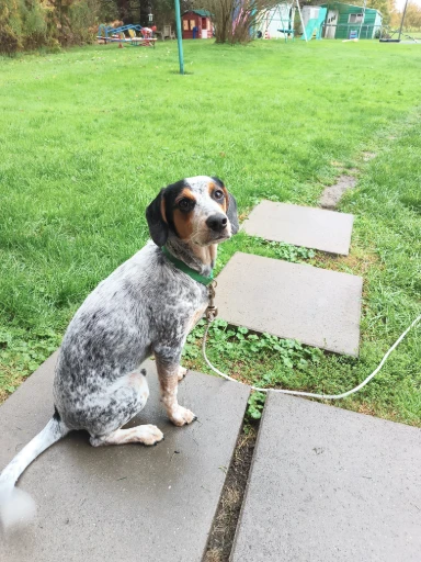 KASH