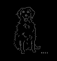 FactDog