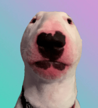 DAWG