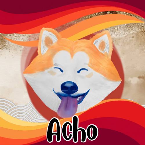 ACHO
