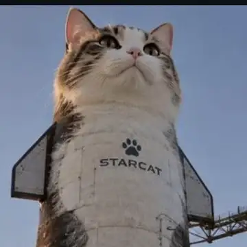 MeowSpaceX