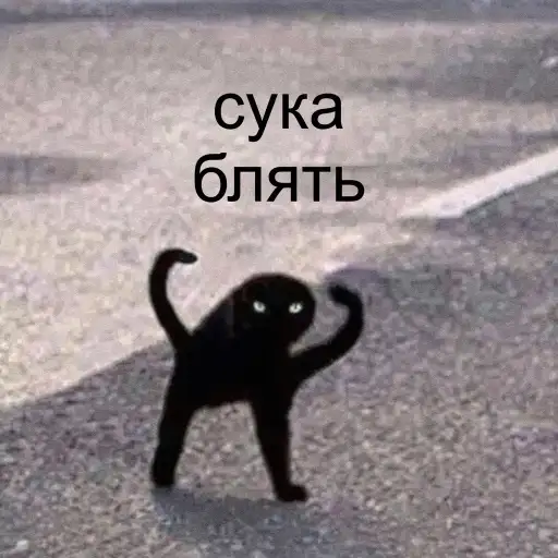 СУКА