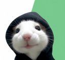 HOODRAT