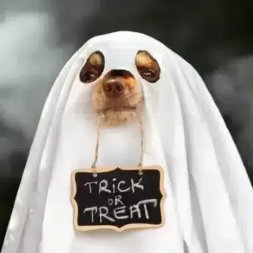 Hallowinu