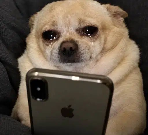 SOBDOG