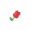 🌹