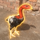 COCKRA