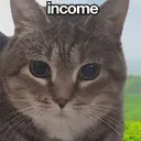 mCAT