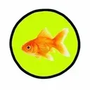 goldfish