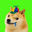 DI