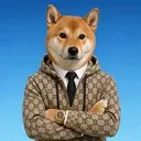 Shiba