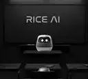 RICE🤖