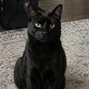 Ollie