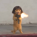 uzicat