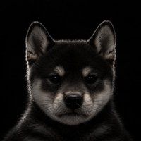 Inu