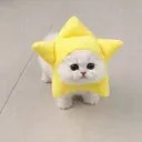 tgcat