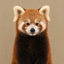 Pabu