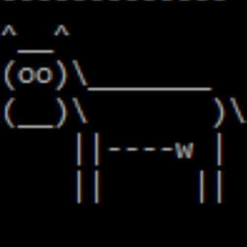 COW