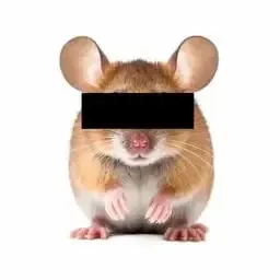 anonymouse